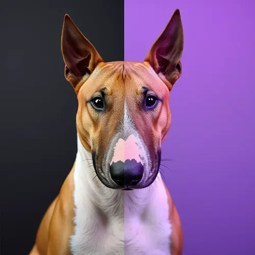 Comparison of AI pet portraits vs photo filters